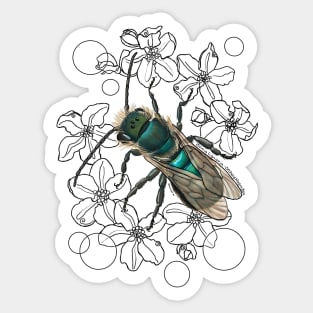 Blue, Orchard, Mason Bee Doodle, white Sticker